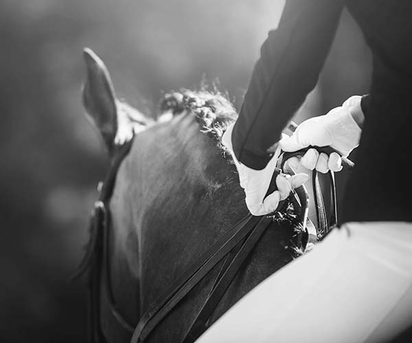 equestrain_black_white