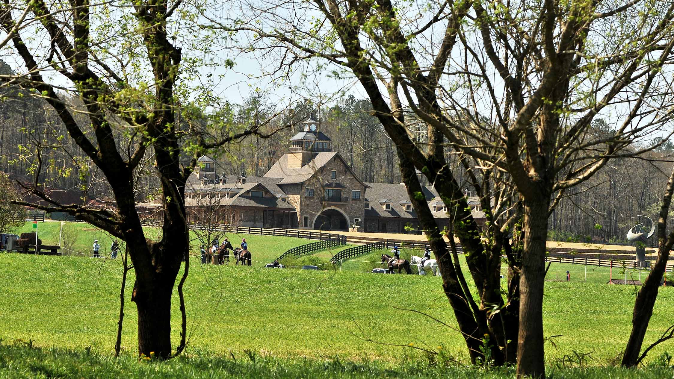 horse_mansion_through_trees_fields